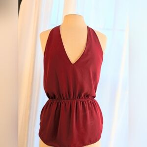 Express Strapless V-Neck Dress in Wine